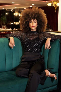 Black Sparkle Mesh High Neck Top -Opal & Oak Store e8005e62e0f3149135792113a27ab76902f36a6d