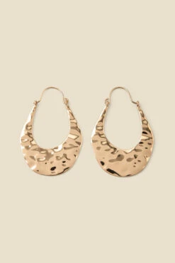Gold Hammered Oval Hoop Earrings -Opal & Oak Store web 2307 box a23ac039mc0003 b