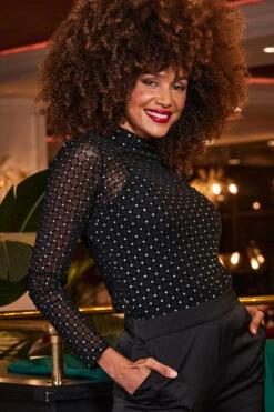 Black Sparkle Mesh High Neck Top -Opal & Oak Store web 2309 235 a23bw023bk0001 a23tj060bk000 235 117