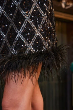 Black Luxe Sequin Feather Hem Skirt -Opal & Oak Store web 2309 66 a23tk271bk0001 66 172 1