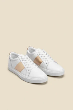 India Gold Side Stripe Detail Leather Trainers -Opal & Oak Store web 2505 box s23fw029mc0003 b