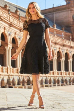 Black Luxe Lace Detail Fit & Flare Dress 12 Black Luxe Lace Detail Fit & Flare Dress -Opal & Oak Store web 42 s22dw063bk 146