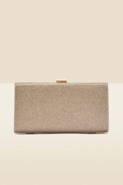Champagne Gold Clasp Detail Box Clutch Bag -Opal & Oak Store web a22ac002cm b