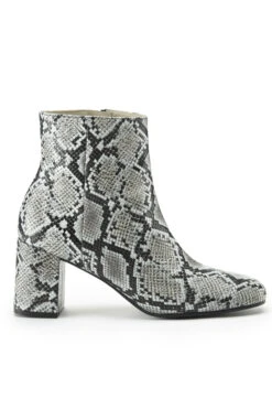 Anna Snake Leather Ankle Boot 9 Anna Snake Leather Ankle Boot -Opal & Oak Store web sa18fw08nlbn01 snake print leather ankle boot 01 1
